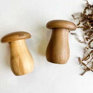 Könnte beinhalten: Zwei pilzförmige Holzobjekte mit glatten, polierten Oberflächen. Ein Objekt ist aus hellem Holz mit sichtbarer Maserung gefertigt, während das andere aus einem dunkleren, satteren braunen Holz mit einer ausgeprägten, natürlichen Textur besteht.