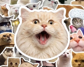 以下が含まれることがあります： 様々な猫の表情やポーズが描かれた猫のステッカーコレクション。中央のステッカーは、口を大きく開けたふわふわしたクリーム色の猫です。他のステッカーには、サングラスをかけた猫、シャワーキャップをかぶった猫、紙袋をかぶった猫などが含まれています。