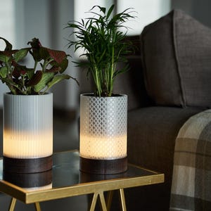 May include: Two illuminated plant pots with live plants. The pots are white with a dark wood base. One pot has vertical lines, the other has a diamond pattern. The plants have green and red leaves. The pots sit on a gold-framed glass table.