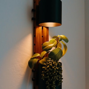 Moderne hangende plantenbak met led-verlichting | Verstelbare walnootbevestiging