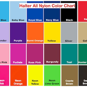 Pu&ograve; includere: Tabella colori che mostra 18 diversi colori di nylon per top halter. I colori includono blu ghiaccio, blu bambino, blu reale, blu navy, nero, rosso, lavanda, viola, arancione bruciato, giallo, argento, oro, rosa tenue, fucsia, rosa cipria, bordeaux, turchese, verde cacciatore, rosa neon, arancione neon, giallo neon, verde lime neon, marrone coyote e marrone scuro.