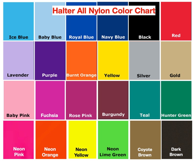 Pu&ograve; includere: Tabella colori che mostra 18 diversi colori di nylon per top halter. I colori includono blu ghiaccio, blu bambino, blu reale, blu navy, nero, rosso, lavanda, viola, arancione bruciato, giallo, argento, oro, rosa tenue, fucsia, rosa cipria, bordeaux, turchese, verde cacciatore, rosa neon, arancione neon, giallo neon, verde lime neon, marrone coyote e marrone scuro.