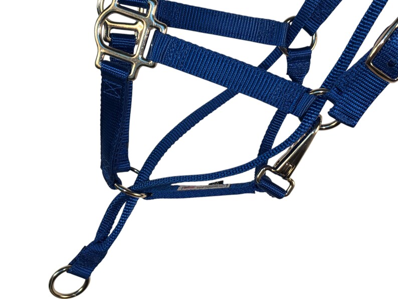 May include: A close-up of a blue horse halter with silver metal hardware. The halter has adjustable straps and a snap closure. The halter is designed for equine use.