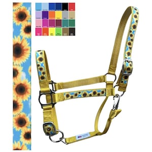 Custom Horse Halter Handmade USA by Halter All, Sunflower Yellow Blue Garden Flower, Snap Throat, Breakaway, 26 Colors, Cob WB, 10yrs immagine 1