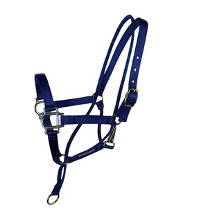 May include: A navy blue horse halter with silver metal fittings. The halter has adjustable straps and a buckle fastening. It includes a throat latch and a ring for a lead rope. The halter is made from strong nylon material.