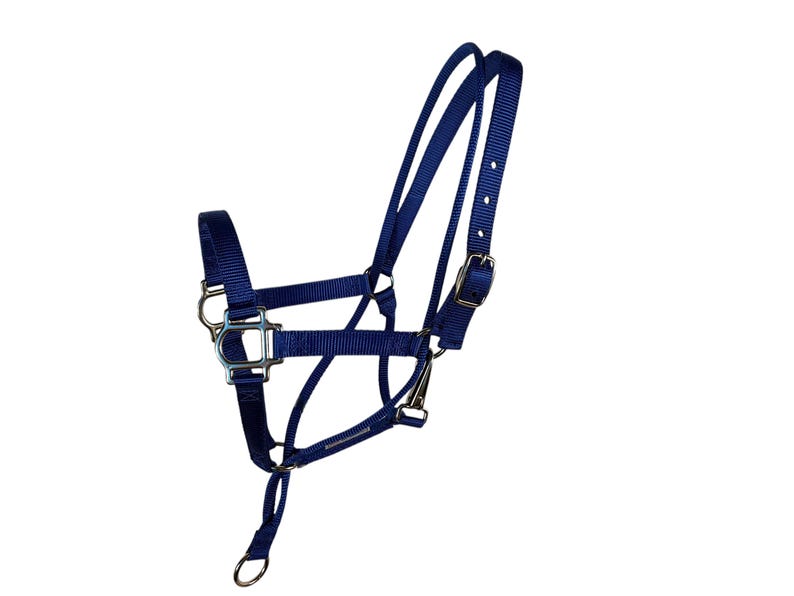 May include: A navy blue horse halter with silver metal fittings. The halter has adjustable straps and a buckle fastening. It includes a throat latch and a ring for a lead rope. The halter is made from strong nylon material.