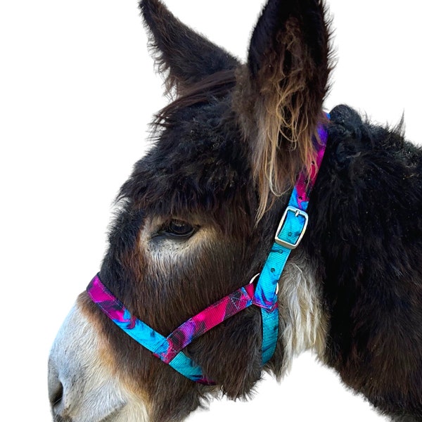 Donkey Halter NEW Figure 8 Design, Add Breakaway Tab or Snap, Handmade USA by Halter All, 37 Colors/Patterns Custom Nylon, 10yrs in business