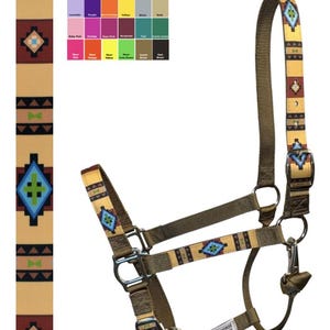 Custom DONKEY Halter Handmade USA by Halter All, Southwestern Tan Turquoise Brown 1", Snap Throat Breakaway, 26 Colors Nylon, Med Lg, 10 yrs