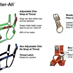 Custom Horse Halter Handmade USA by Halter All, Yellow Rubber Ducks Pond Waves, Snap Throat, Breakaway, 26 Colors Nylon, Cob WB, 10yrs immagine 5