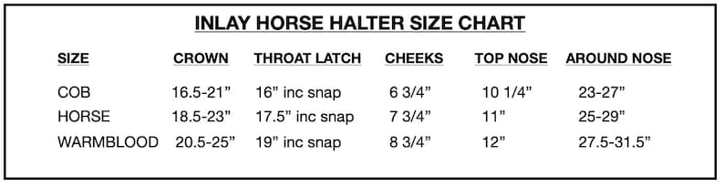 Custom Horse Halter Handmade USA by Halter All, Yellow Rubber Ducks Pond Waves, Snap Throat, Breakaway, 26 Colors Nylon, Cob WB, 10yrs immagine 7