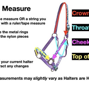 May include: Diagram showing how to measure a horse halter. The halter is in shades of purple, blue, and red. Text labels indicate the crown, throat latch, cheeks, and top of nose. Instructions suggest using a tape measure or string.