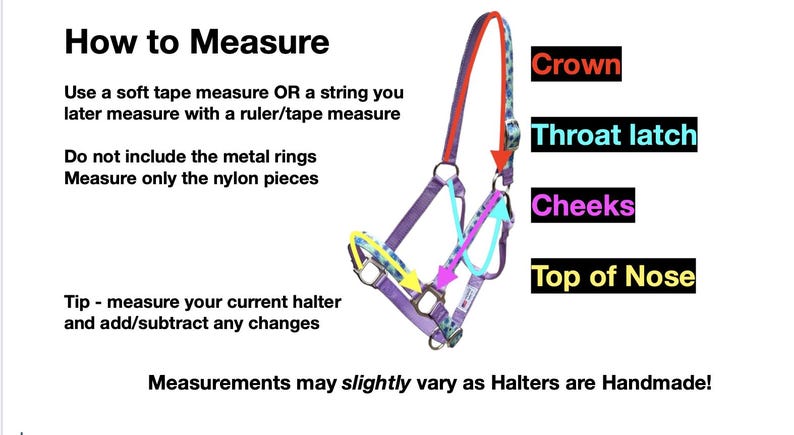 May include: Diagram showing how to measure a horse halter. The halter is in shades of purple, blue, and red. Text labels indicate the crown, throat latch, cheeks, and top of nose. Instructions suggest using a tape measure or string.