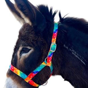 Custom DONKEY Halter New Figure 8 Design, Breakaway, Snap, Handmade USA by Halter All, 37 Colors/Patterns Custom Nylon, 10yrs in business