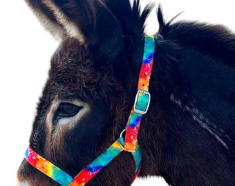 Custom DONKEY Halter New Figure 8 Design, Breakaway, Snap, Handmade USA by Halter All, 37 Colors/Patterns Custom Nylon, 10yrs in business