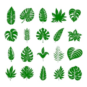 Svg, eps, dxf, Instant Download