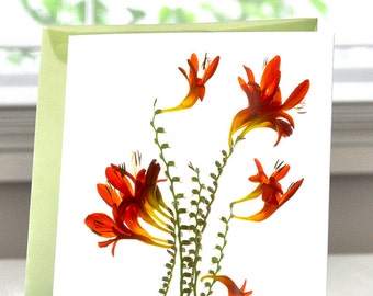 Greeting Card Note Card hand made Flower Red Sharon's Reds