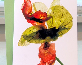 Artist Floral Note Card - Tomatillo et al