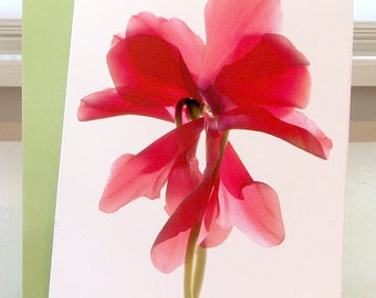 Handmade Greeting Card Floral Cyclamen Dance Note Card Blank