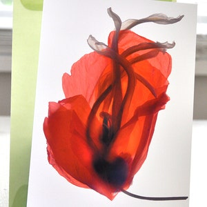 Mothers Day Card Floral Note Card Red Poppy Free Shipping in US image 1