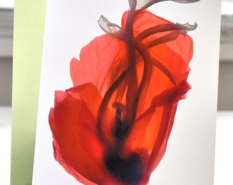 Mothers Day Card Floral Note Card Red Poppy Free Shipping in US