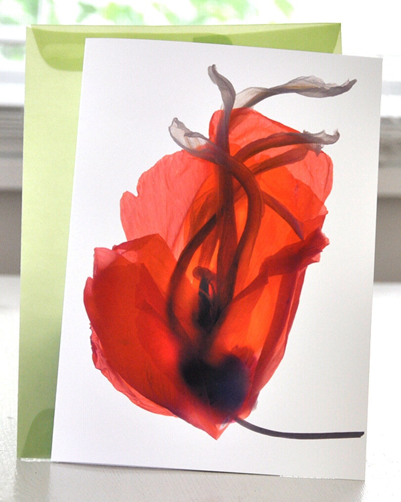 Mothers Day Card Floral Note Card Red Poppy Free Shipping in US image 1