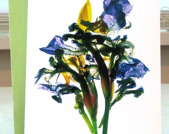 Floral Note Card Todd's Pond Iris 5"x7" Summer Flower Thank You Card
