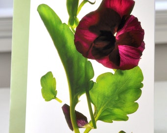 Note Card Floral Pansy Purple