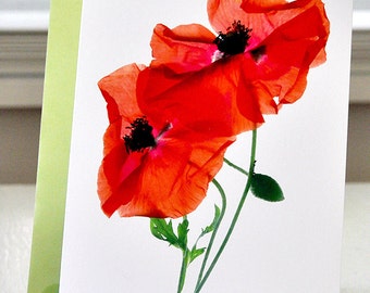 Margie's Poppy Duo Greeting Card Red Card Floral Card Note Card