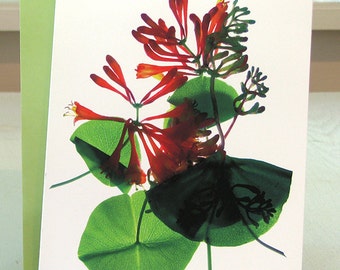 Artist Floral Note Card--Honeysuckle--Thank You Celebration Wedding Thinking of You