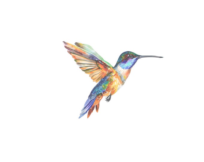 Digital Multicolored Hummingbird, Hummingbird Clip Art, Graphic Bird