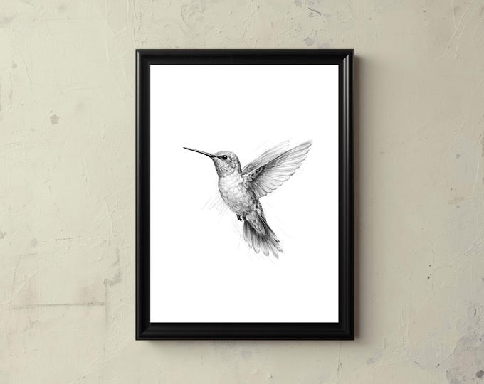 Hummingbird Sketch, Printable Bird Art, Vintage Style Printable Decor