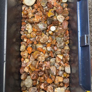 May include: A black bin filled with a variety of polished rocks and stones. The stones are in shades of brown, orange, and gray, with a few white and tan stones. A coin is visible among the stones.