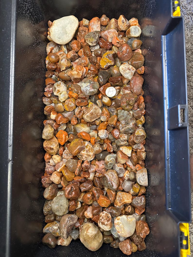 May include: A black bin filled with a variety of polished rocks and stones. The stones are in shades of brown, orange, and gray, with a few white and tan stones. A coin is visible among the stones.