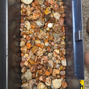 May include: A black plastic container filled with a variety of polished rocks and stones. The rocks are primarily shades of brown, orange, and gray, with some white and yellow accents. A silver coin is visible among the stones.