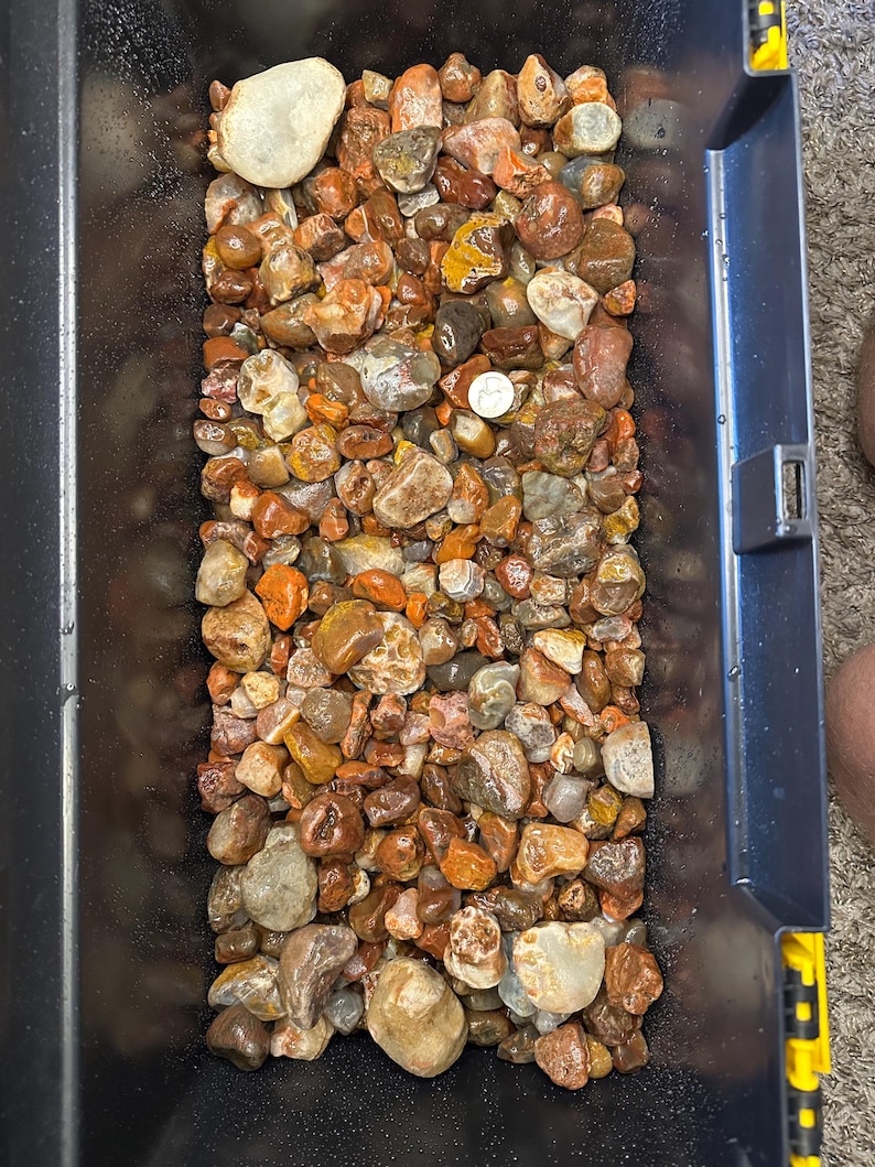 May include: A black plastic container filled with a variety of polished rocks and stones. The rocks are primarily shades of brown, orange, and gray, with some white and yellow accents. A silver coin is visible among the stones.