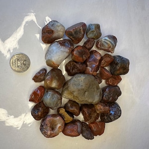 May include: A collection of polished, naturally shaped stones in shades of red, brown, gray, and white. The stones vary in size and texture, with some showing visible banding. A US quarter coin is included for size reference, showcasing the scale of the stones.