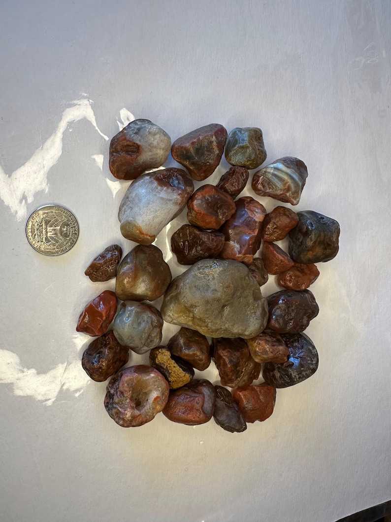 May include: A collection of polished, naturally shaped stones in shades of red, brown, gray, and white. The stones vary in size and texture, with some showing visible banding. A US quarter coin is included for size reference, showcasing the scale of the stones.
