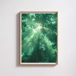Puede incluir: Una impresión enmarcada que muestra un dosel forestal verde, con la luz del sol que atraviesa las hojas. La obra de arte presenta una paleta de verdes y luz brillante, creando una escena serena y natural.