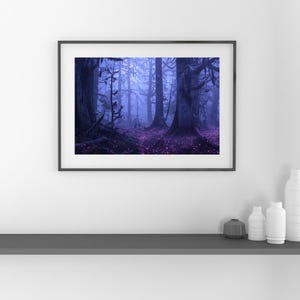 Könnte beinhalten: Gerahmter Druck einer nebligen Waldszene. Das Bild zeigt hohe, dunkle Bäume mit einer lila-blauen Farbpalette. Der Waldboden ist mit lila Laub bedeckt, und die Szene ist in einen blauen Nebel gehüllt.