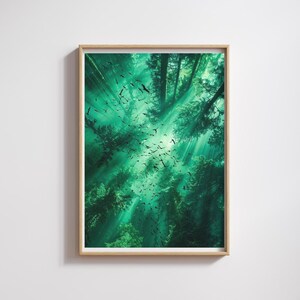 Puede incluir: Una impresión enmarcada que presenta una vista vibrante y cenital de un dosel forestal. La imagen está dominada por tonos verdes, con rayos de sol que atraviesan los árboles. Siluetas de pájaros salpican la escena, añadiendo dinamismo.