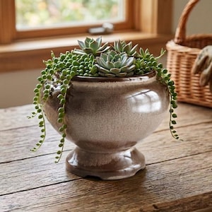 May include: A round, pedestal-style ceramic planter with a glossy, two-tone brown and cream glaze. The planter is filled with a variety of green succulents, including several rosette-shaped plants and long, trailing strands of small, round beads.