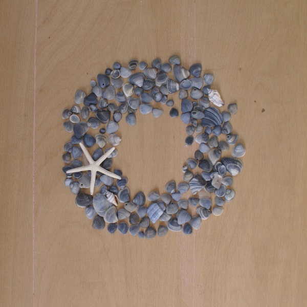 Blue seashells- make your own wreath -  diy - starfish - sea shell supplies - coastal decor  beach decor - nautical decor