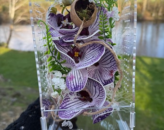 Behuizing springspin