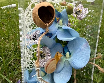 Jumping Spider Enclosure