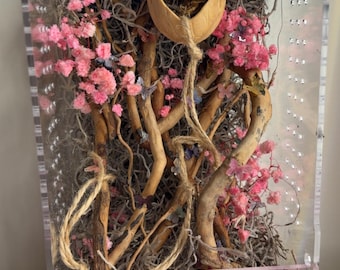 Recinto para arañas saltarinas en el jardín de mariposas