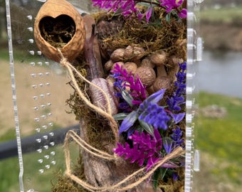 Gehege mit springender Spinne