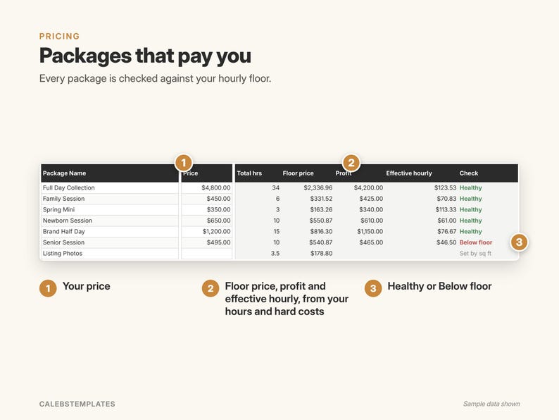 May include: A pricing table titled Packages that pay you, featuring columns for Package Name, Price, Total hrs, Floor price, Profit, Effective hourly, and Check. Numbered circles 1, 2, and 3 highlight specific data points and status labels.