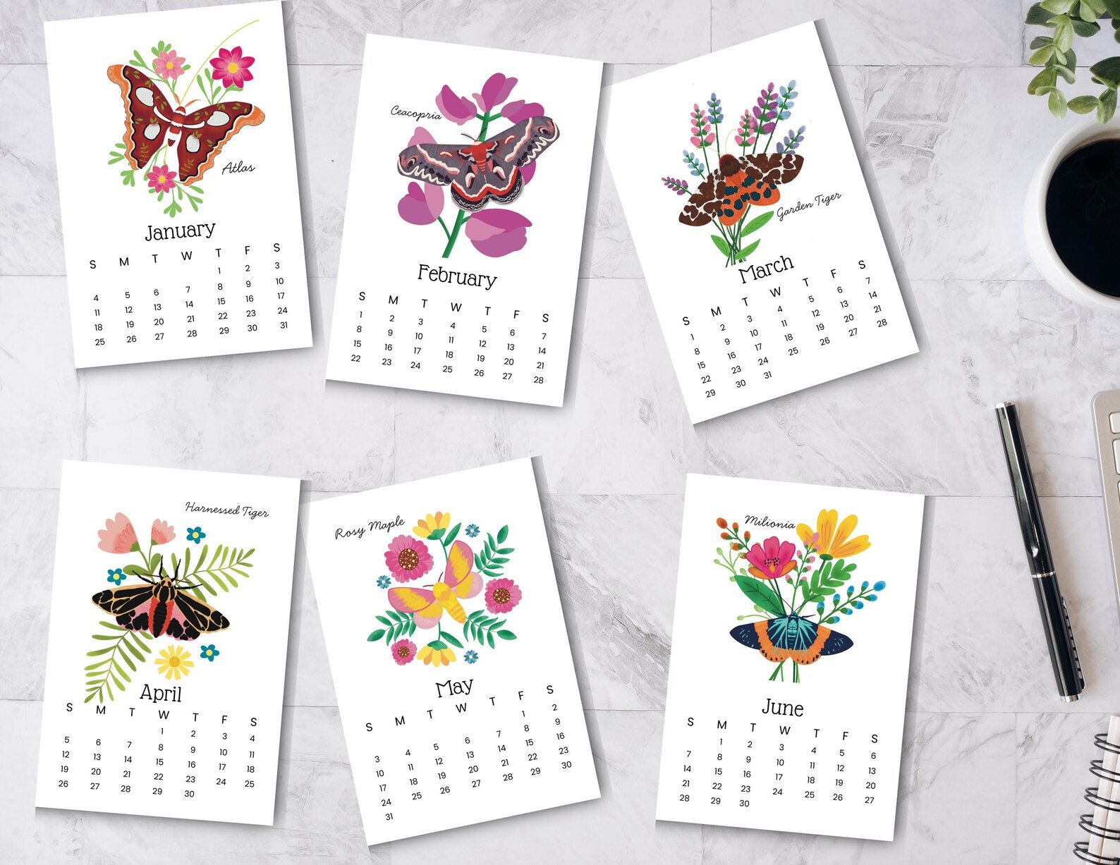 2026 Moth Calendar: Hand-drawn Insect Art, Desk Size - Etsy