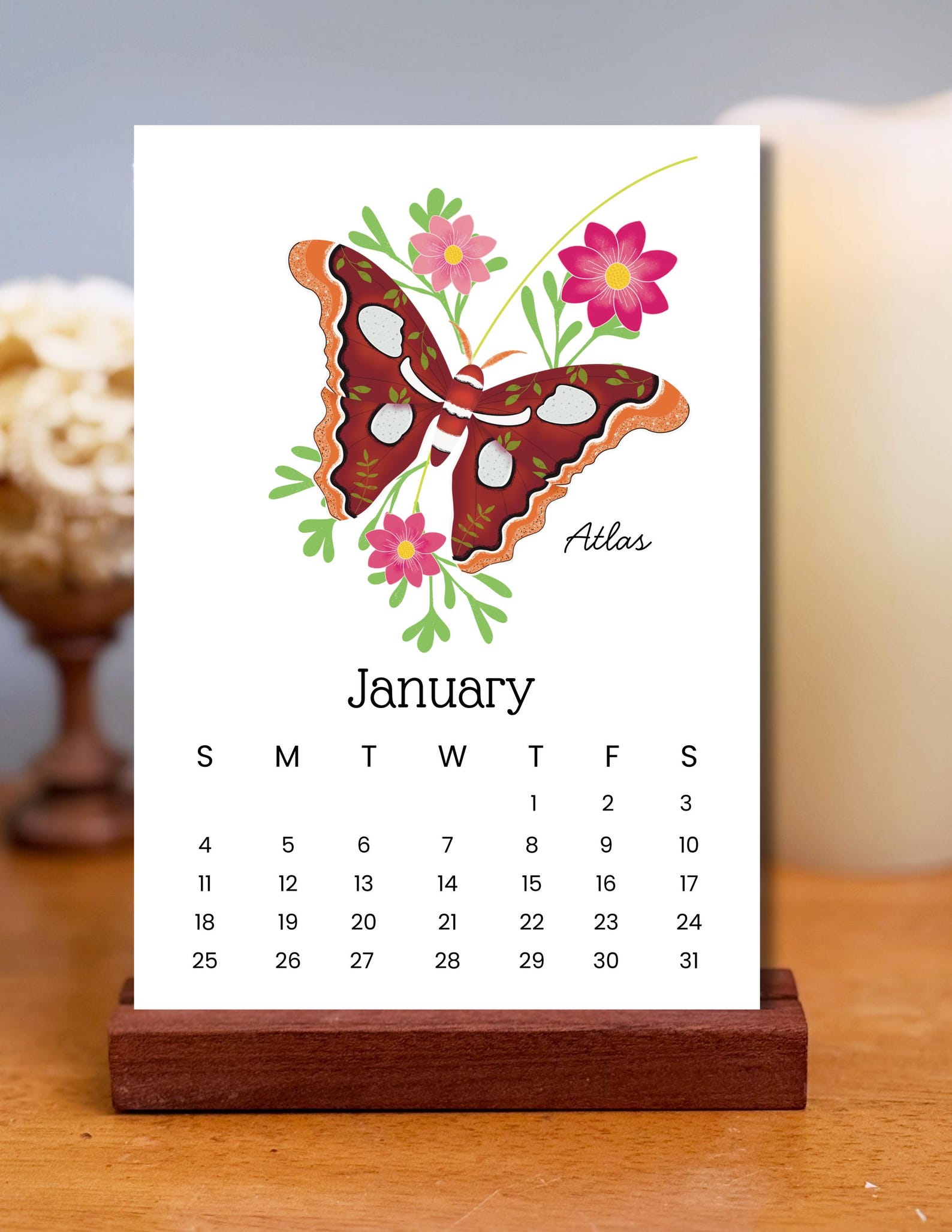 2026 Moth Calendar: Hand-drawn Insect Art, Desk Size - Etsy