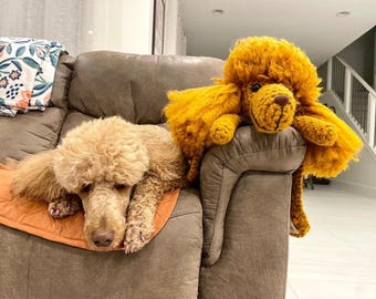 Custom Crochet Pet Armrest Organizer - Handmade Replica of YOUR Dog/CAT Caddy - Personalized Armchair Remote Holder - Living Room Decor